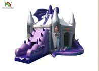 बच्चों के लिए स्लाइड के साथ अनुकूलित बैंगनी ड्रैगन Inflatable कूद महल