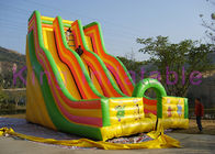 मनोरंजन पार्क के लिए विशाल डबल लेन Inflatable सूखी स्लाइड रंगीन कार्टून मुद्रण