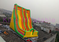 मनोरंजन पार्क के लिए विशाल डबल लेन Inflatable सूखी स्लाइड रंगीन कार्टून मुद्रण