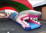 शार्क पीवीसी Inflatable पानी स्लाइड, कस्टम अद्भुत रोमांचक मिनी सिटी स्लाइड