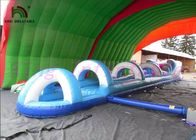 शार्क पीवीसी Inflatable पानी स्लाइड, कस्टम अद्भुत रोमांचक मिनी सिटी स्लाइड