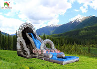 ग्रे और ब्लू Inflatable Kiddie पानी स्लाइड वाणिज्यिक खेल 1 साल की वारंटी