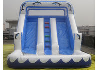 तीन लाइनों Inflatable पानी स्लाइड बच्चों के लिए पूल के साथ / वयस्कों Inflatable स्लाइड पार्क