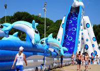 बच्चों के वयस्कों के लिए ग्रीष्मकालीन Inflatable विशालकाय पिछवाड़े हाथी पानी स्लाइड