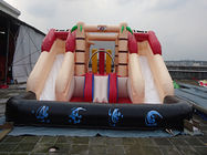 पानी के खेल के लिए आउटडोर मनोरंजन Inflatable पानी स्लाइड CE प्रमाण पत्र ब्लोअर