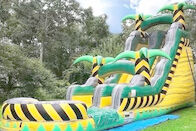 वाणिज्यिक रंगीन पीवीसी Inflatable जल स्लाइड वन थीम