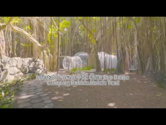 बबल हाउस होटल टेंट