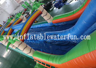 छोटे पूल के साथ वाणिज्यिक पीवीसी तिरपाल ग्रीन जंगल Inflatable पानी स्लाइड