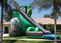 inflatable double water slide	adults commercial backyard Inflatable Water Slide Rentals