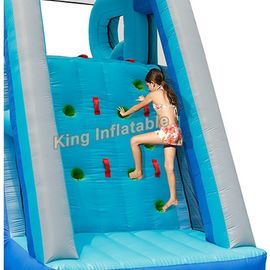 डबल लेन महासागर वाणिज्यिक पीवीसी तिरपाल Inflatable पानी स्लाइड ब्लू विशाल