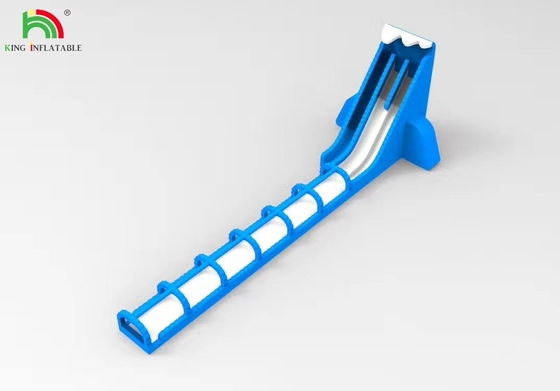 चीन वाणिज्यिक वयस्क के लिए अतिरिक्त लंबी inflatable पानी स्लाइड