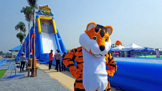 आनंददायक मज़ा कारखाने की कीमत वयस्क के लिए inflatable लंबी पानी स्लाइड बड़े inflatable स्लाइड