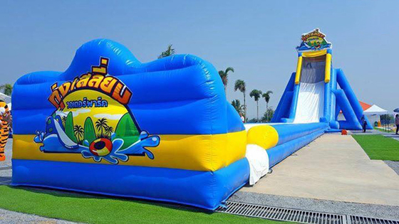 आनंददायक मज़ा कारखाने की कीमत वयस्क के लिए inflatable लंबी पानी स्लाइड बड़े inflatable स्लाइड