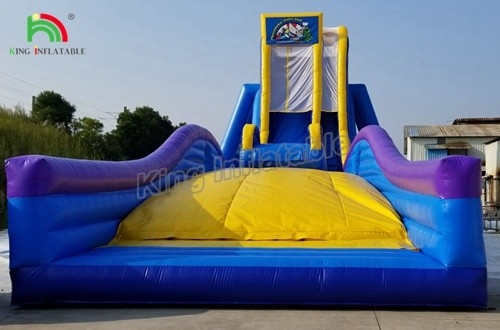 वाणिज्यिक पार्टी किराया दिलचस्प पागल नीले बच्चों और वयस्कों के लिए inflatable पानी स्लाइड