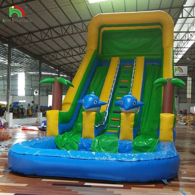 डबल स्लाइड inflatable पानी स्लाइड पाम ट्री inflatable गीला सूखी स्लाइड बच्चों और वयस्कों के लिए