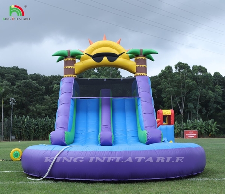 डबल लेन inflatable पानी स्लाइड संयोजन के साथ पूल बाधा चढ़ाई के लिए inflatable पूल स्लाइड