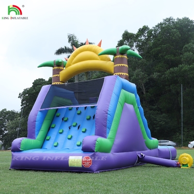 डबल लेन inflatable पानी स्लाइड संयोजन के साथ पूल बाधा चढ़ाई के लिए inflatable पूल स्लाइड