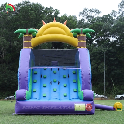 डबल लेन inflatable पानी स्लाइड संयोजन के साथ पूल बाधा चढ़ाई के लिए inflatable पूल स्लाइड
