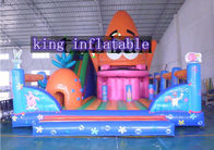 बच्चों और वयस्कों के लिए स्लाइड के साथ पीवीसी रंगीन Inflatable मनोरंजन पार्क