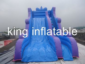 मनोरंजन पार्क के लिए साधारण लेकिन सामान्य के साथ आउटडोर टिकाऊ Inflatable सूखी स्लाइड