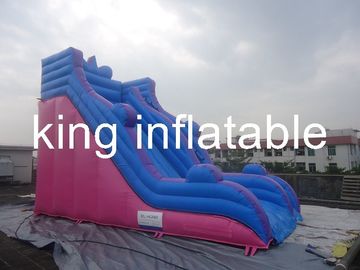 मनोरंजन पार्क के लिए साधारण लेकिन सामान्य के साथ आउटडोर टिकाऊ Inflatable सूखी स्लाइड
