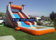 आउटडोर मज़ा के लिए पूल अनुकूलित रंग के साथ तिरपाल Inflatable पानी स्लाइड