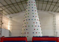 विशाल 0.55mmPVC तिरपाल Inflatable खेल खेल Inflatable चढ़ाई दीवार