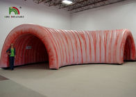 6 मीटर विशाल Inflatable Colons दिल सुरंग वाणिज्यिक उछाल सदनों लौ Retardant