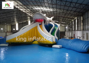 दो साइड स्लाइड डबल सिलाई के साथ विशाल कार्टून Inflatable स्विमिंग पूल
