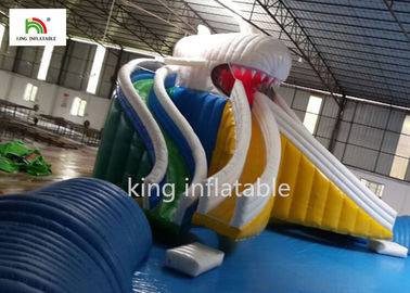 दो साइड स्लाइड डबल सिलाई के साथ विशाल कार्टून Inflatable स्विमिंग पूल