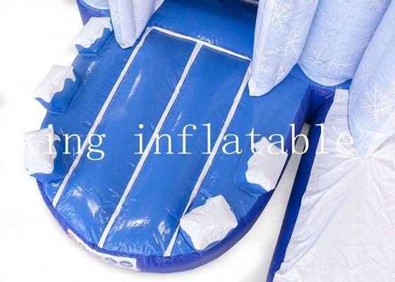 स्लाइड के साथ बच्चों के वाणिज्यिक Inflatable जमे हुए बाउंसर कॉम्बो