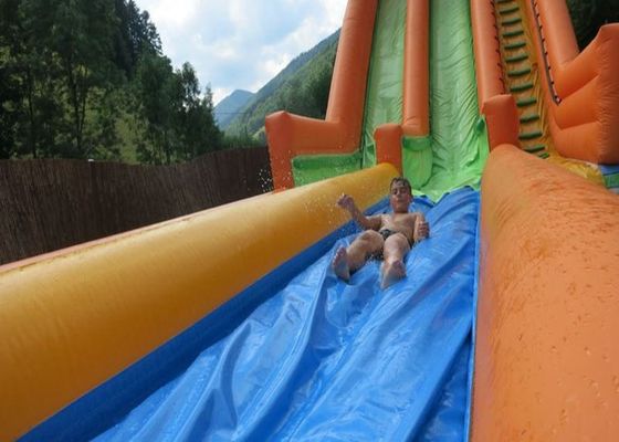 स्विमिंग पूल के साथ 0.55 मिमी प्लेटो Inflatable पानी स्लाइड