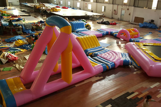 रंग मुद्रण के साथ गुलाबी मनोरंजन Inflatable पानी पार्क