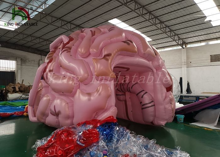 अनुकूलित आकार Inflatable घटना तम्बू सिमुलेशन चिकित्सा शो के लिए मस्तिष्क मॉडल