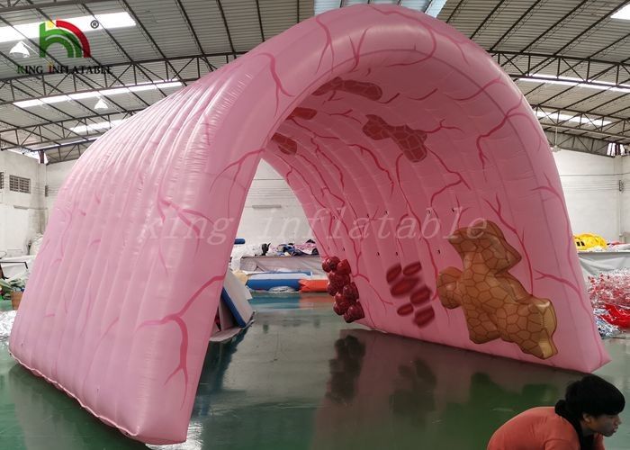 Durable Inflatable Event Tent / Simulation Large Intestine Tent For Medical Display