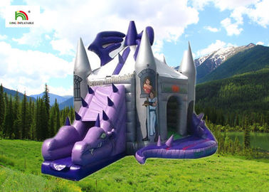 जन्मदिन के लिए स्लाइड के साथ बैंगनी ड्रैगन Inflatable कूद महल